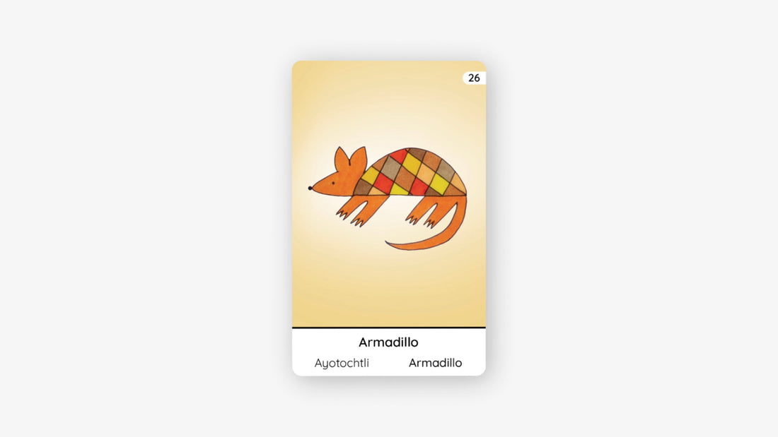 ARMADILLO