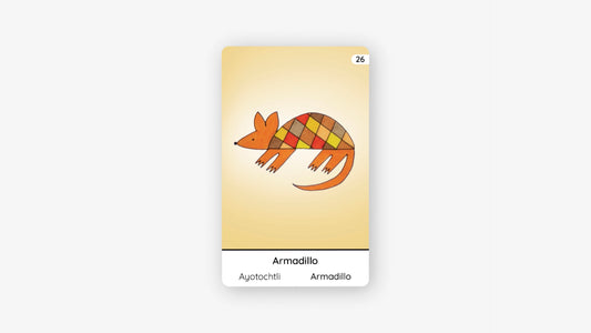 ARMADILLO