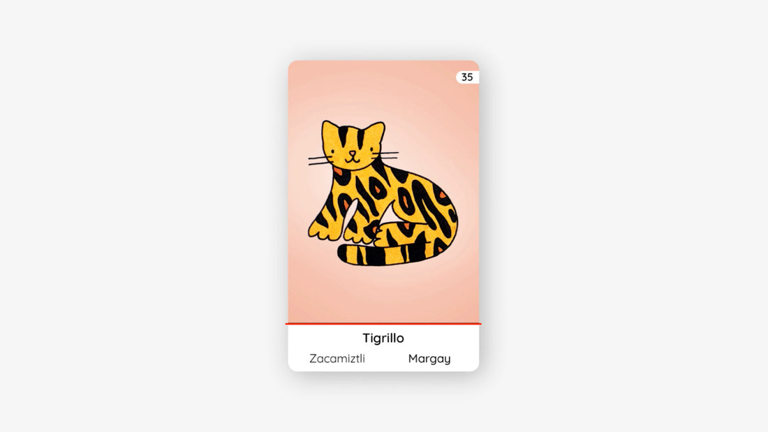 TIGRILLO