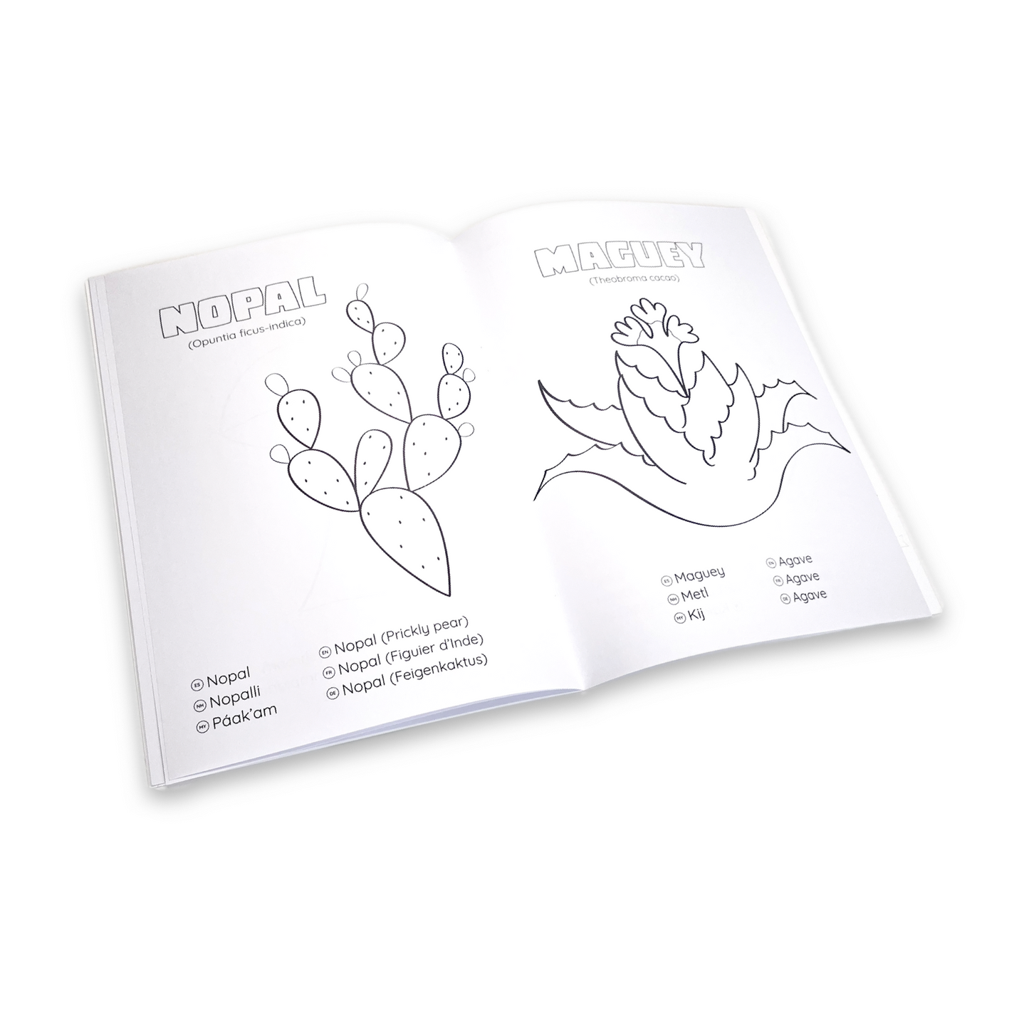 COLOREA 3 - CULTIVOS MEXICANOS