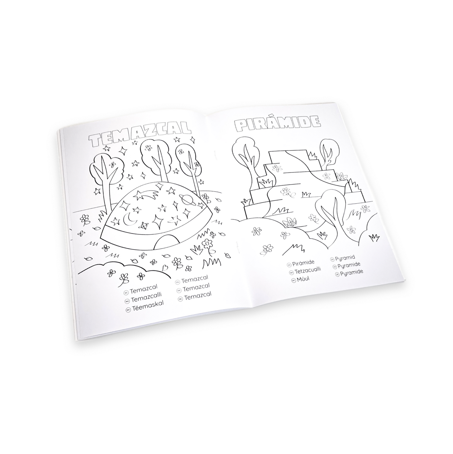 COLOREA 6 - UNIVERSO MEXICANO