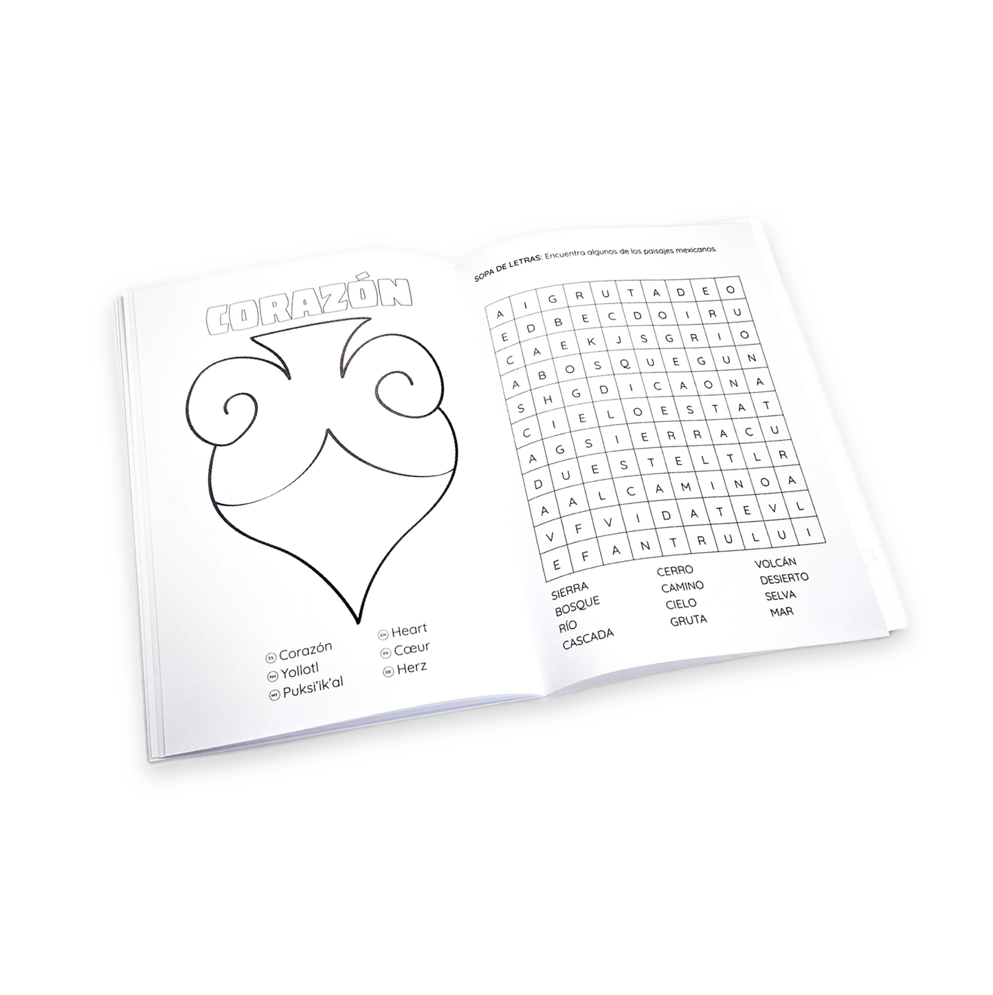 COLOREA (Colección 6 cuadernos)