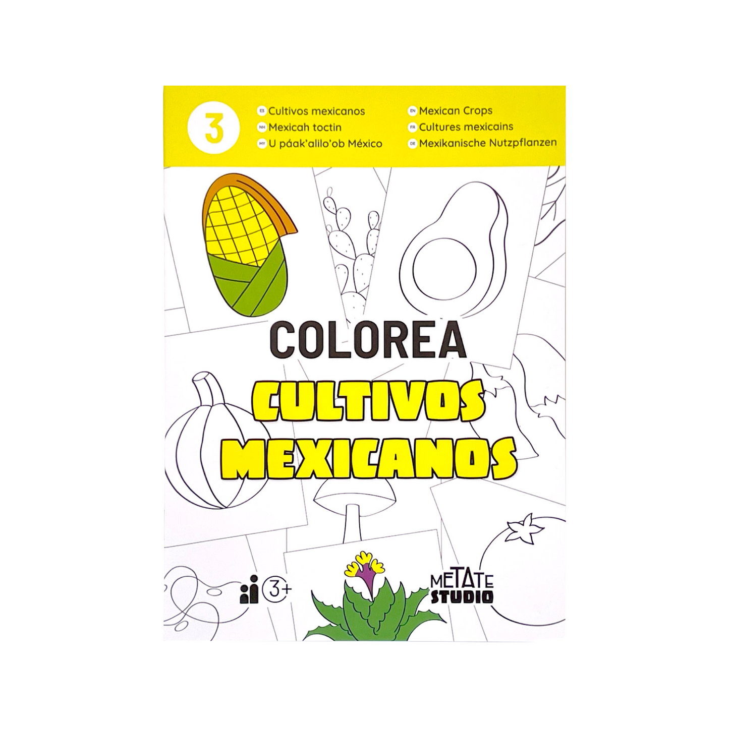 COLOREA 3 - CULTIVOS MEXICANOS