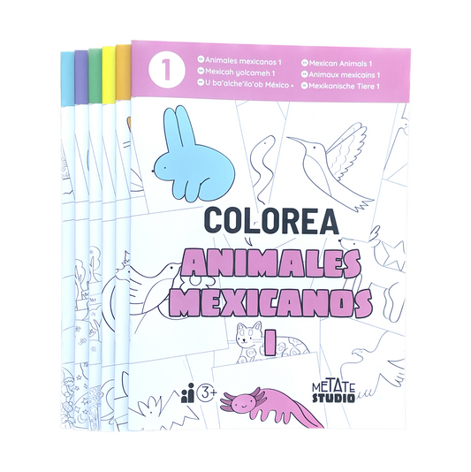 COLOREA (Colección 6 cuadernos)