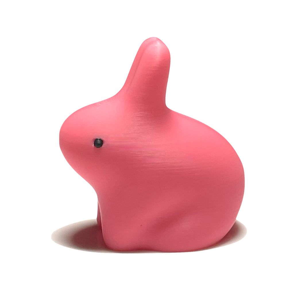 Conejo Tochtli 3D
