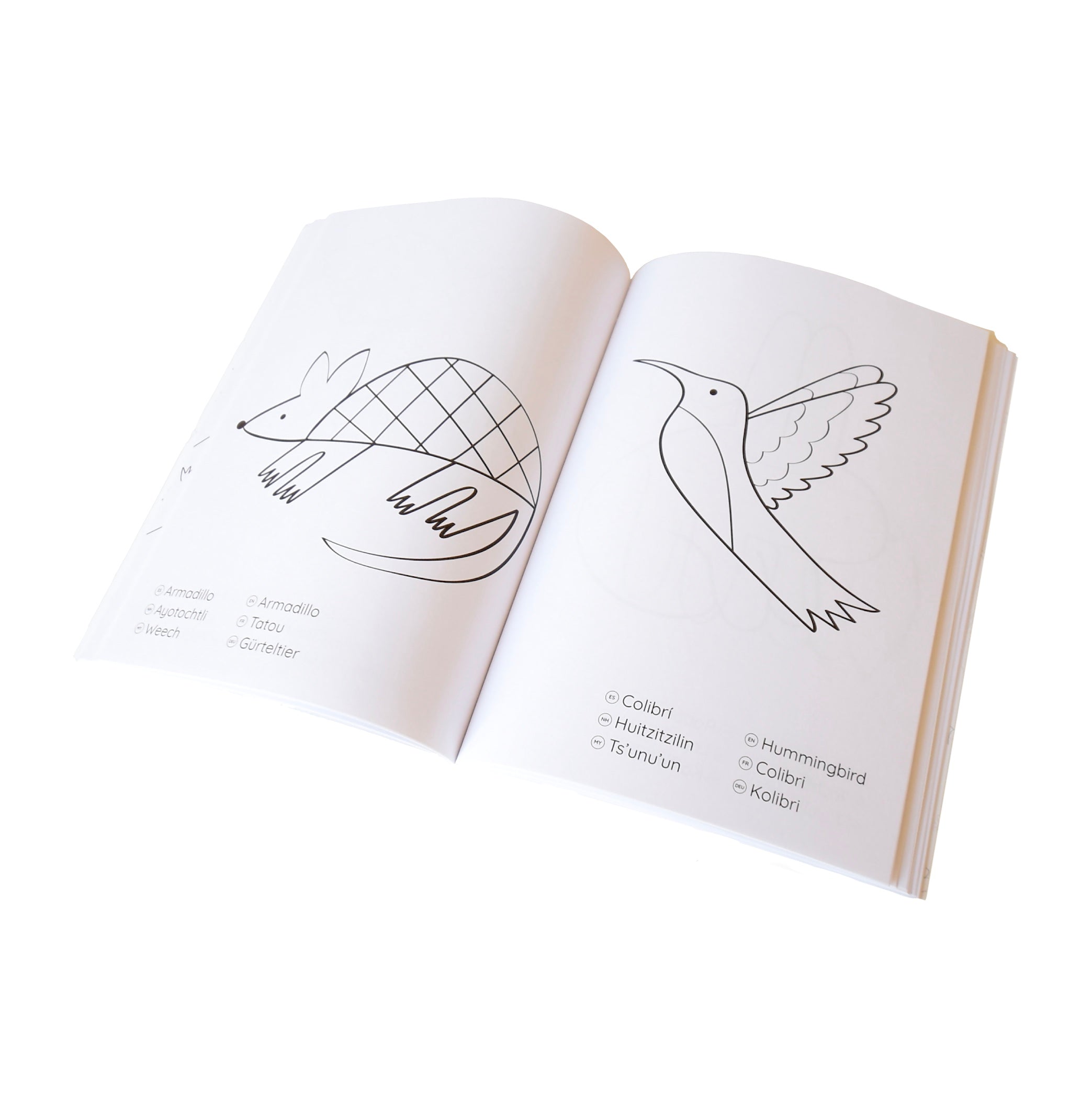 COLOREA: Libro para colorear – METATE STUDIO